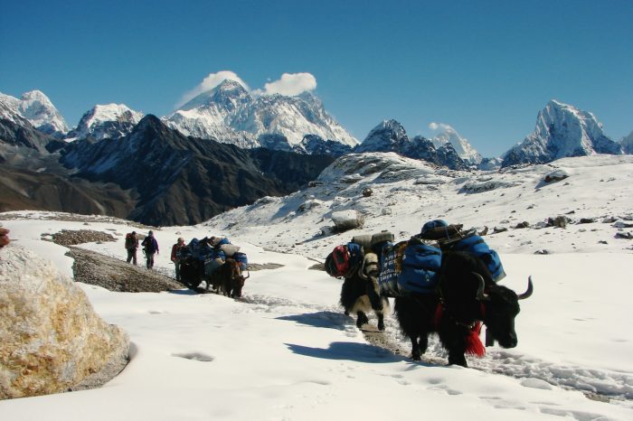 Everest Base Camp trek via Salleri 